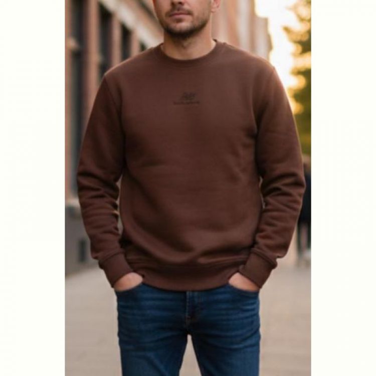 Купить Свитер Zalov ZW1187 brown на obuv-plus.com.ua