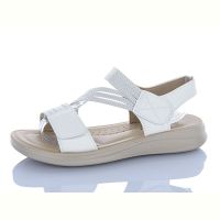 Купить Босоножки I.Trendy ZK311-2 на obuv-plus.com.ua