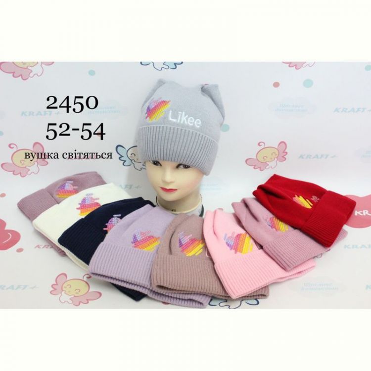 Купить Шапка Red Hat clothes 2450 mix зима на obuv-plus.com.ua