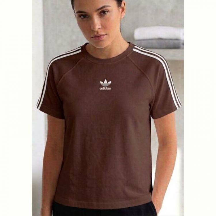 Купить Футболка Newe 2230 brown на obuv-plus.com.ua