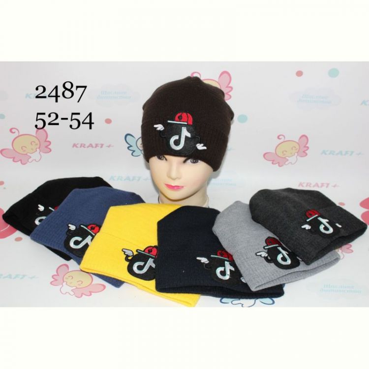 Купить Шапка Red Hat clothes 2487 mix зима на obuv-plus.com.ua