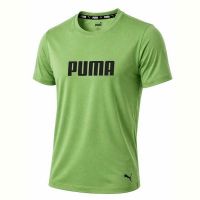 Купить Футболка Alex Clothes 14273 green на obuv-plus.com.ua