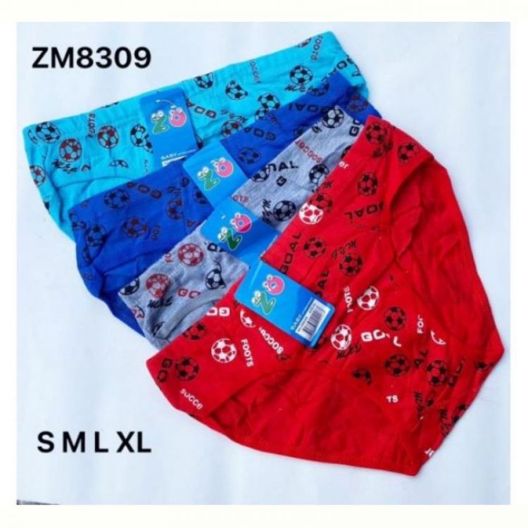 Купить Трусы Redoor ZM8309 mix на obuv-plus.com.ua