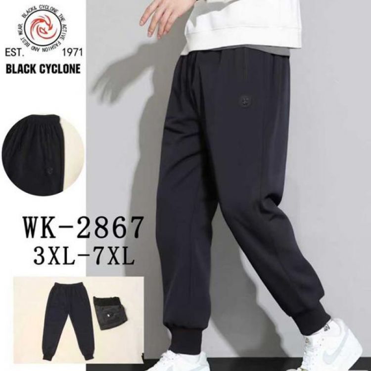 Купить Штаны спорт Giang 2867 navy на obuv-plus.com.ua