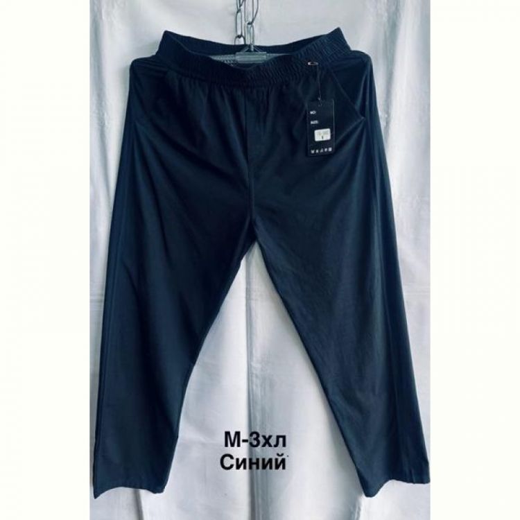 Купить Штаны спорт Minh 3007 navy на obuv-plus.com.ua