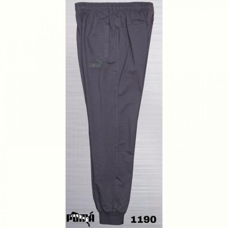 Купить Штаны спорт AZT AZ383-1190 grey на obuv-plus.com.ua