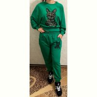 Купить Костюм спорт Red Hat clothes 0133 green на obuv-plus.com.ua