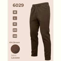 Купить Штаны спорт 2BRO 6029 brown на obuv-plus.com.ua