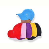 Купить Кепка YLZL K223-19 mix на obuv-plus.com.ua