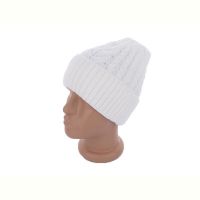 Купить Шапка Red Hat clothes SA1322-2-old-1 на obuv-plus.com.ua
