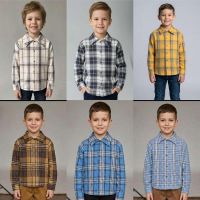 Купить Рубашка Meloria ML5137 brown на obuv-plus.com.ua