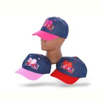 Купить Кепка YLZL KN03 mix на obuv-plus.com.ua