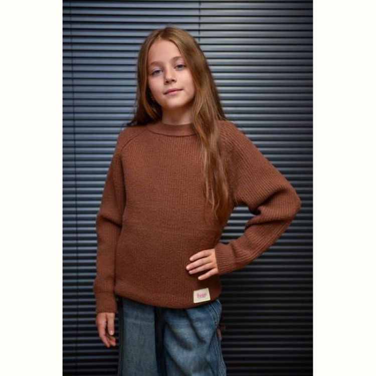 Купить Свитер Yalisi 817 brown на obuv-plus.com.ua
