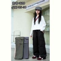 Купить Штаны Farbique 620 grey на obuv-plus.com.ua