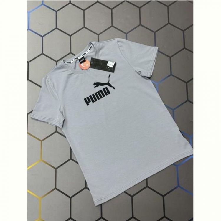 Купить Футболка Alex Clothes 13233 grey на obuv-plus.com.ua