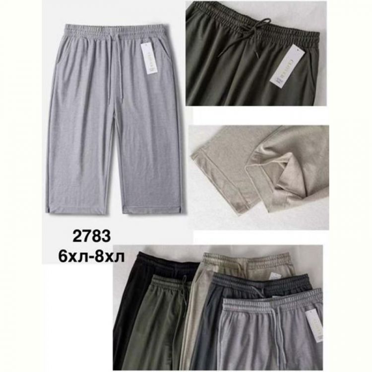 Купить Бриджи Minh 2783 mix на obuv-plus.com.ua