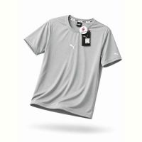 Купить Футболка Alex Clothes 14565 grey на obuv-plus.com.ua