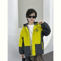 Купить Куртка Flong 2521 yellow на obuv-plus.com.ua