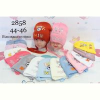 Купить Шапка Red Hat clothes 2858 mix на obuv-plus.com.ua