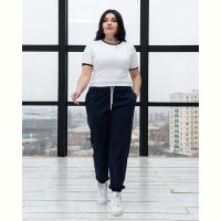 Купить Штаны спорт AZNA Б53 navy на obuv-plus.com.ua