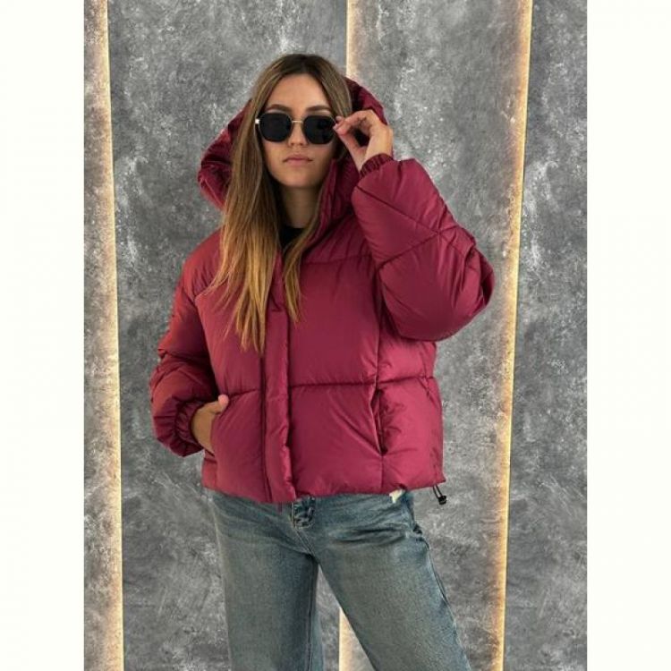 Купить Куртка Trend 2482 wine на obuv-plus.com.ua