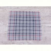 Купить Носовой платок Shawls ES028 blue на obuv-plus.com.ua
