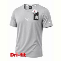 Купить Футболка Alex Clothes 14292 grey на obuv-plus.com.ua