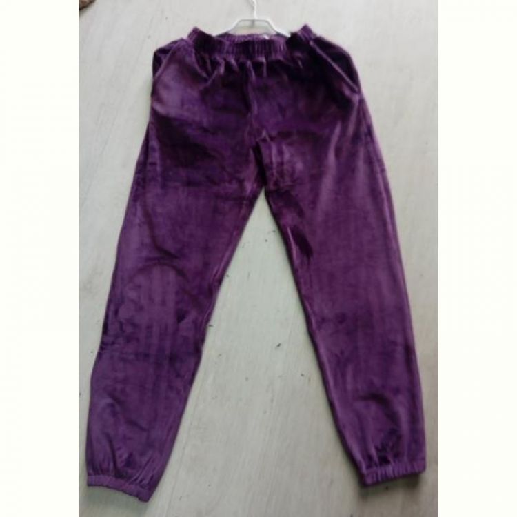 Купить Штаны спорт Gull G69 violet на obuv-plus.com.ua
